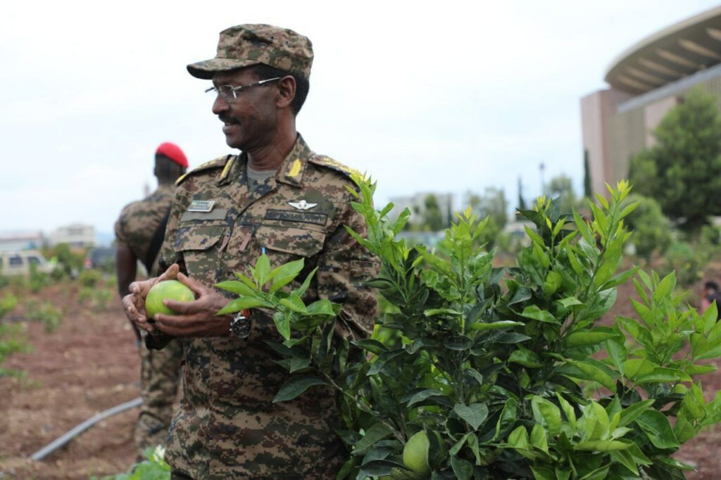Read more about the article የጦር ኃይሎች ጠቅላይ ኢታማዦር ሹም ፊልድ ማርሻል ብርሃኑ ጁላ የችግኝ ተከላ መርሃ ግብርን አስጀመሩ።